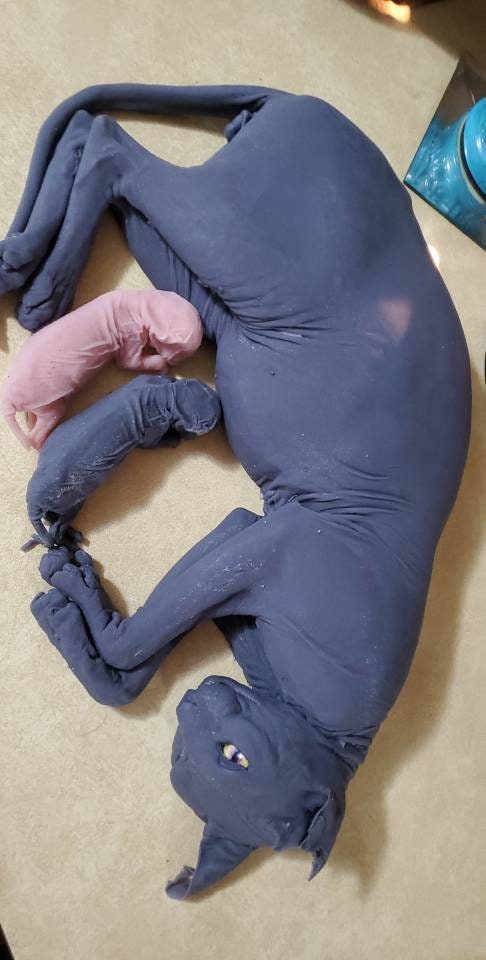 Silicone sphynx cat size of real adult cat