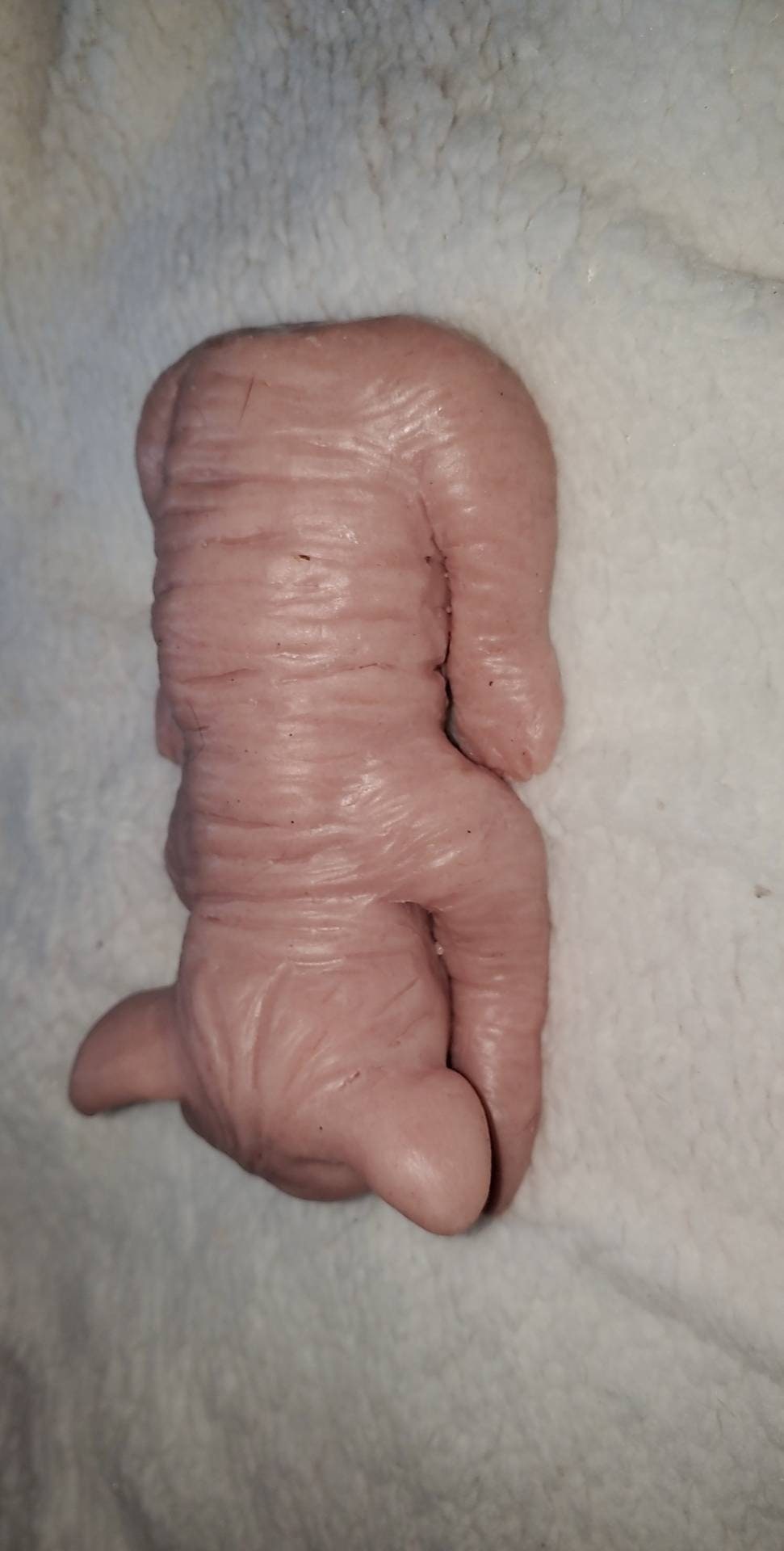 Full body silicone spyhnx cat kitten