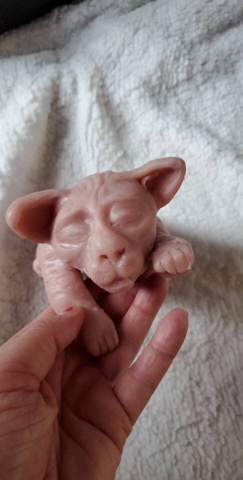 Full body silicone spyhnx cat kitten