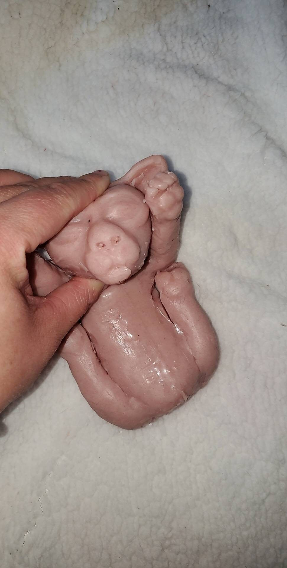 Full body silicone spyhnx cat kitten