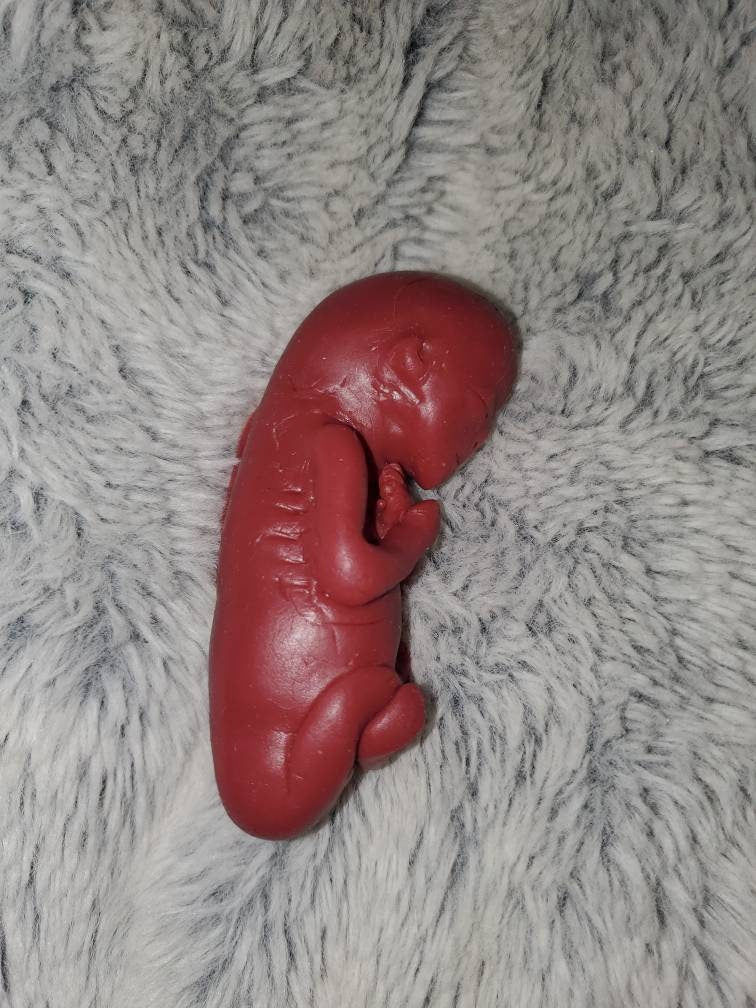 18 week Gestational memorial silicone fetus