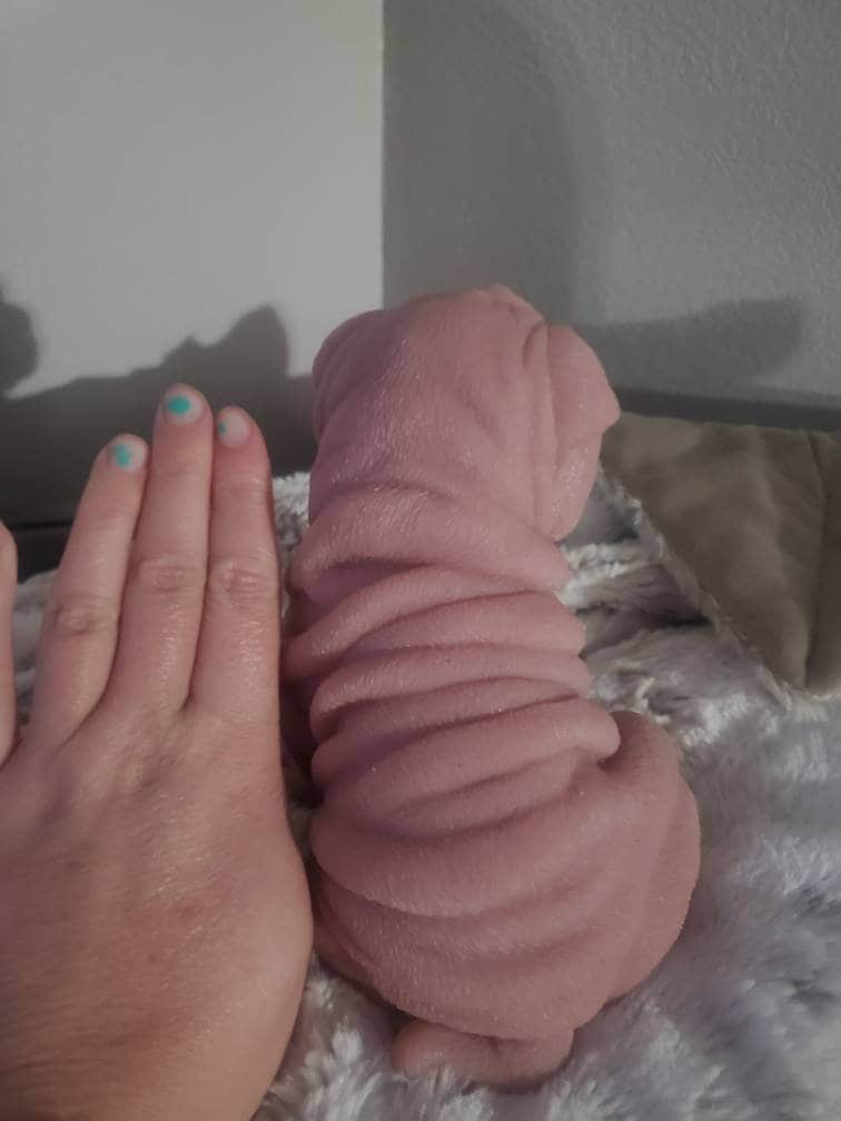 Silicone puppy dog shar pei 9" large size sitting open eye
