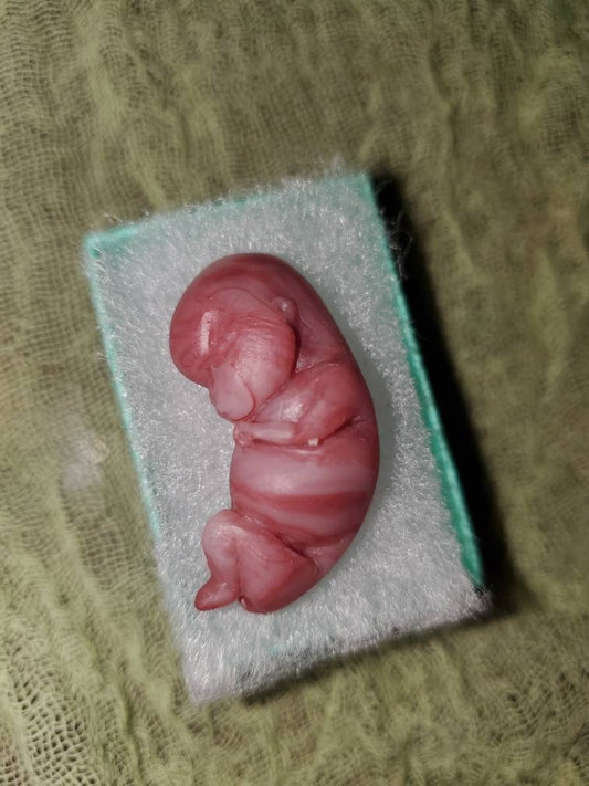 9 week gestational fetus silicone baby red/mixed color