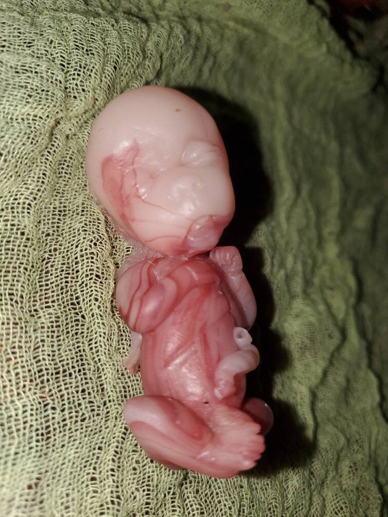 14 week gestation fetus memorial silicone baby red/Caucasian mixed coloring