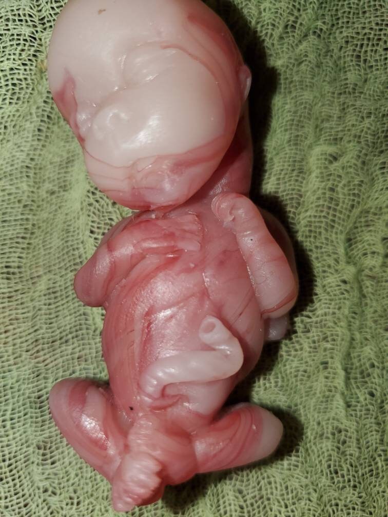 14 week gestation fetus memorial silicone baby red/Caucasian mixed coloring