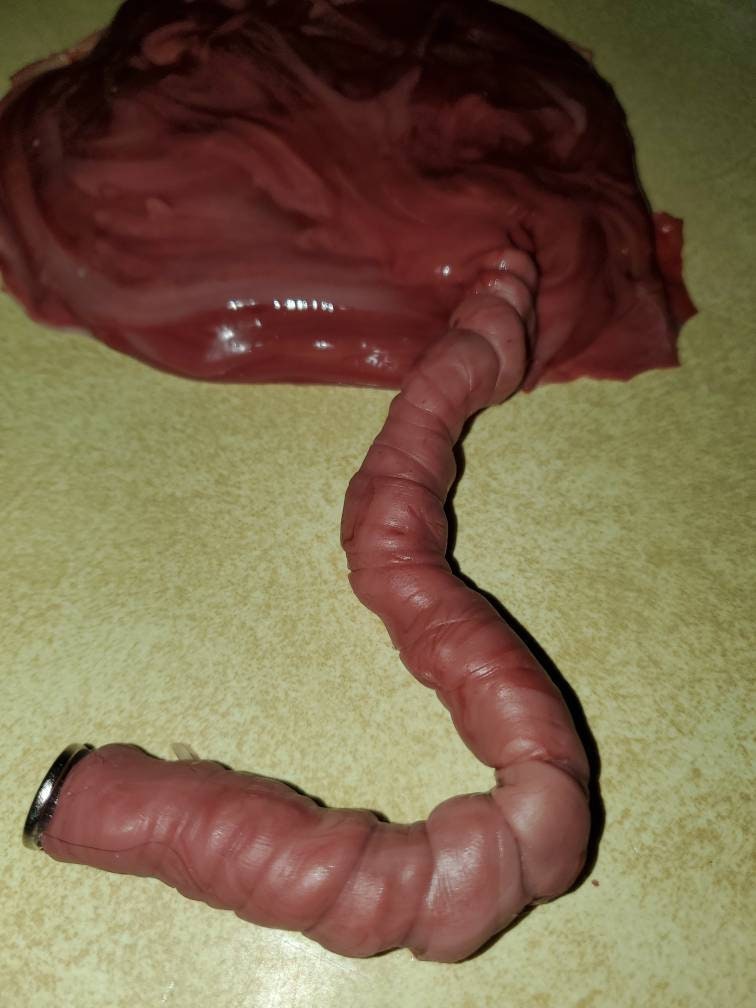Silicone placenta and umbilical cord for silicone baby newborn baby size