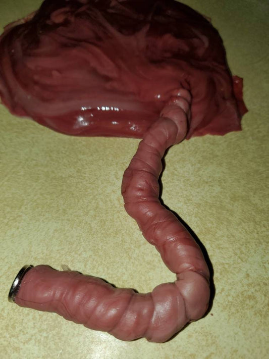 Silicone placenta and umbilical cord for silicone baby newborn baby size