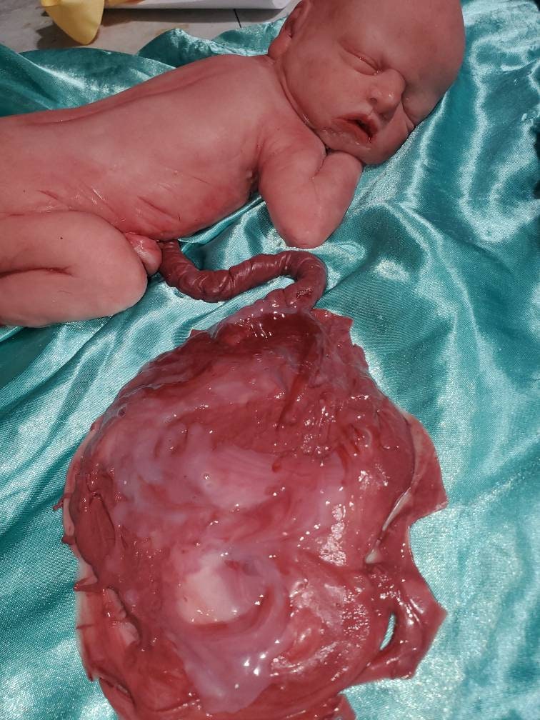 13" silicone baby girl fully painted with umbilical cord maribelle