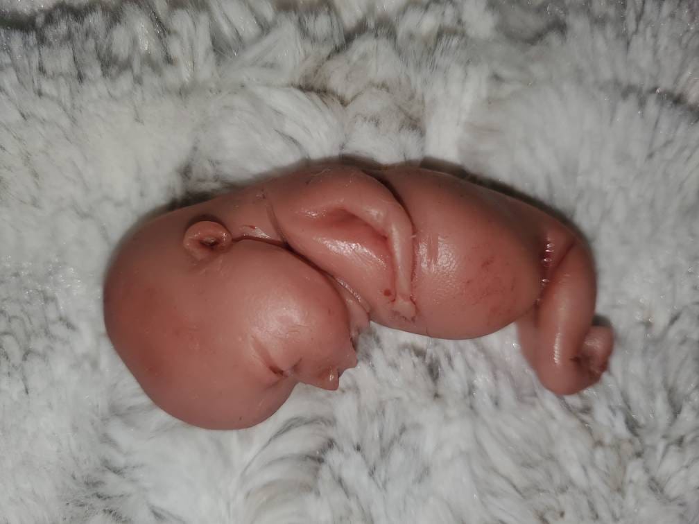 14 week gestation fetus memorial silicone baby fully painted with wings?