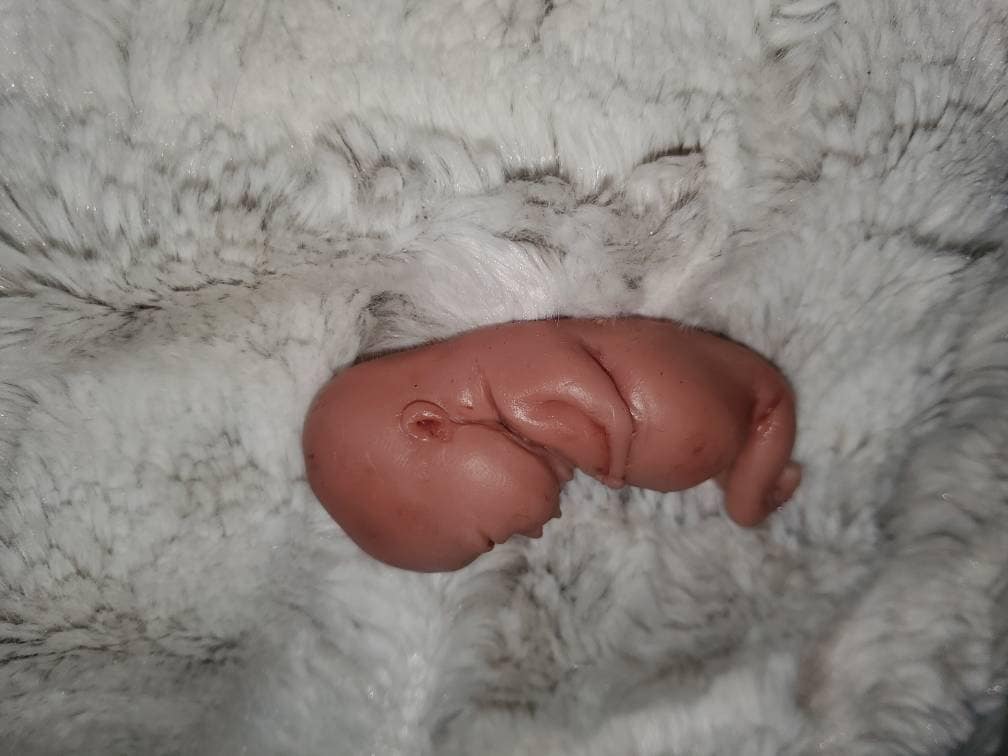 14 week gestation fetus memorial silicone baby fully painted with wings?
