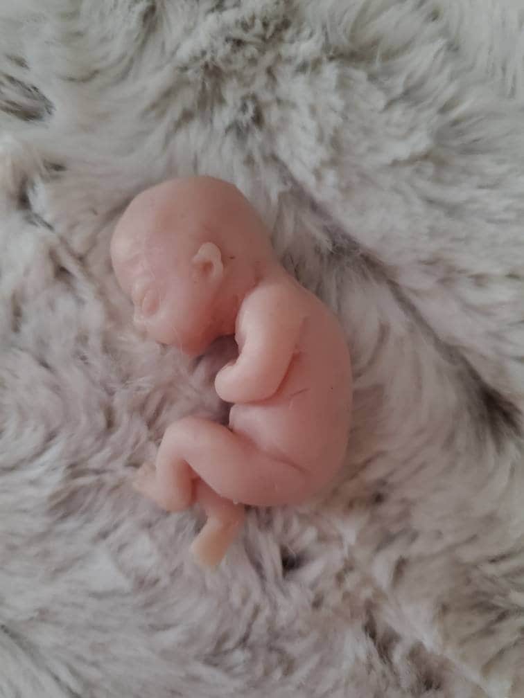 Silicone babyfetus memorial gift 12 week gestation