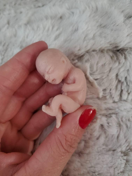 Silicone babyfetus memorial gift 12 week gestation