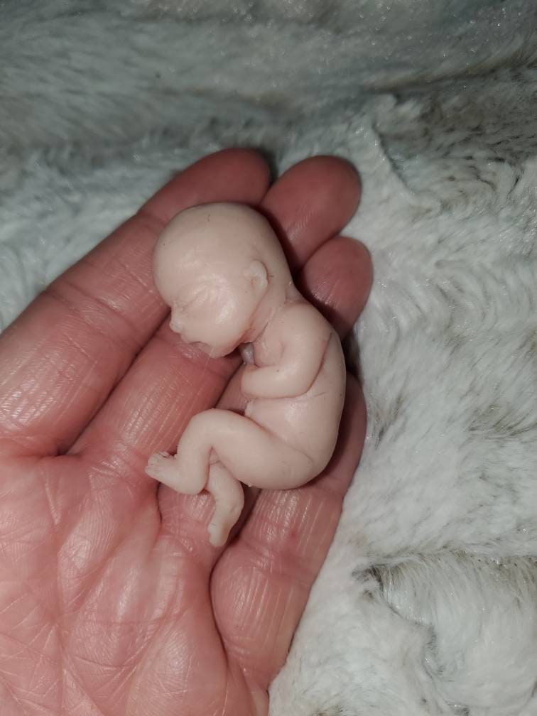 Silicone babyfetus memorial gift 12 week gestation