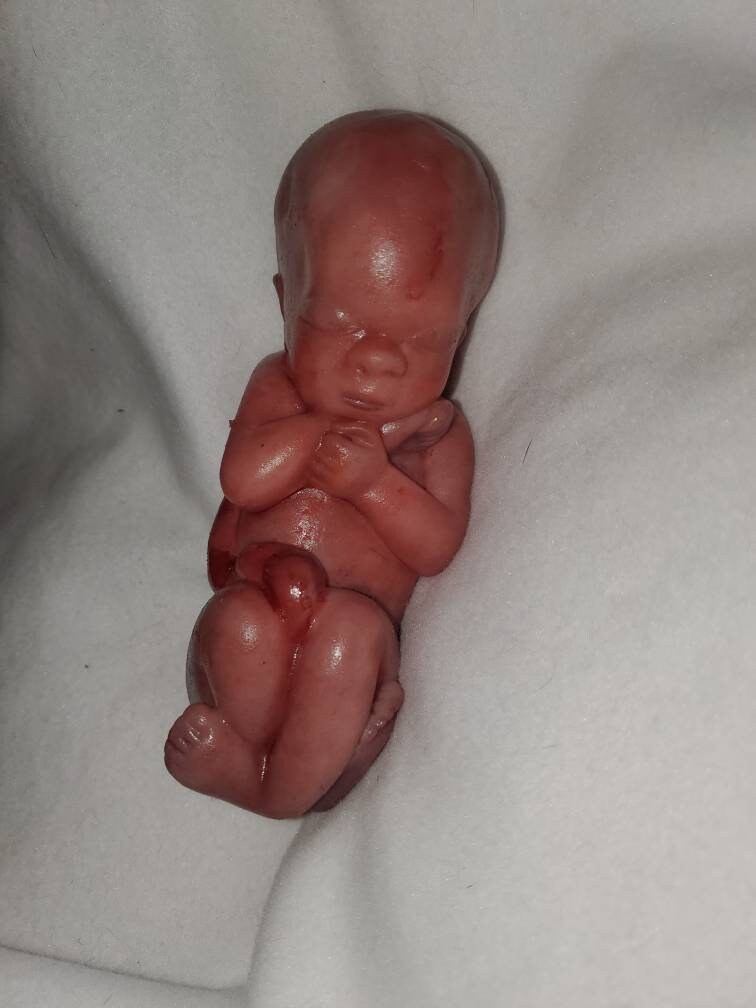 8" curled up silicone baby 22 week gestation memorial baby born too soon fully painted