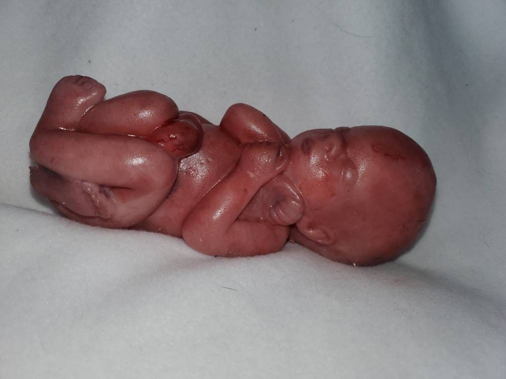 8" curled up silicone baby 22 week gestation memorial baby born too soon fully painted