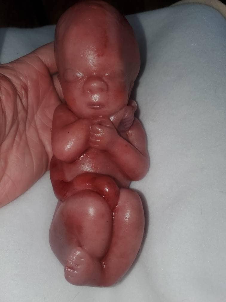 8" curled up silicone baby 22 week gestation memorial baby born too soon fully painted
