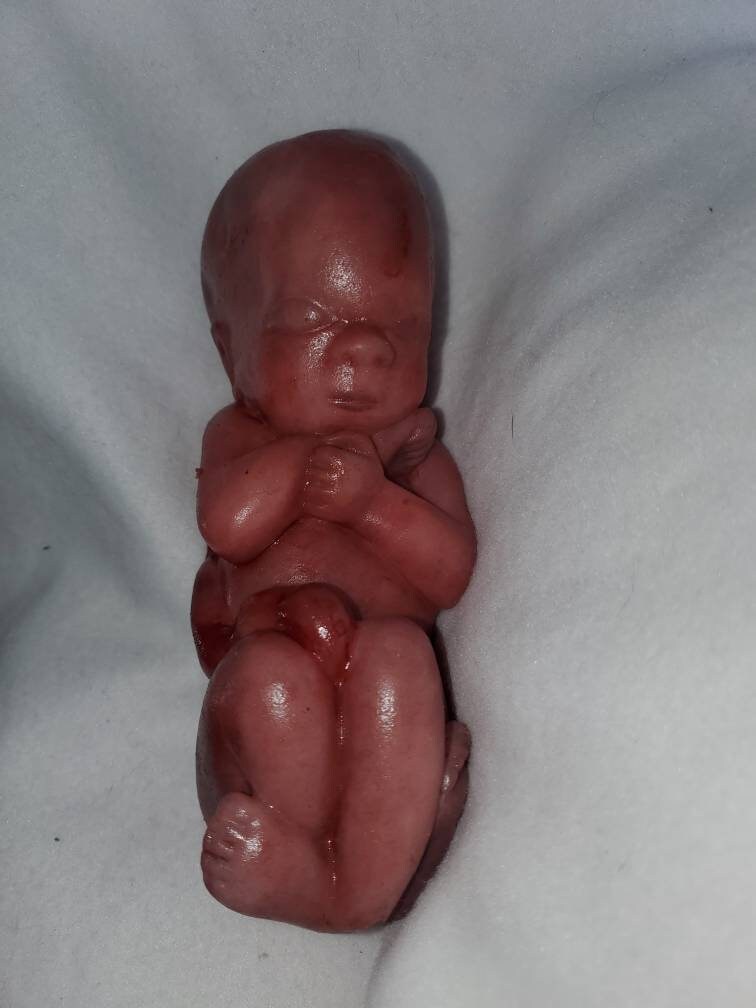 8" curled up silicone baby 22 week gestation memorial baby born too soon fully painted