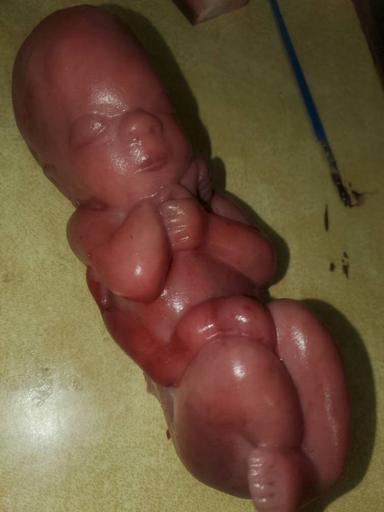 8" curled up silicone baby 22 week gestation memorial baby born too soon fully painted