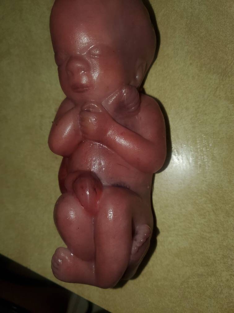 8" curled up silicone baby 22 week gestation memorial baby born too soon fully painted