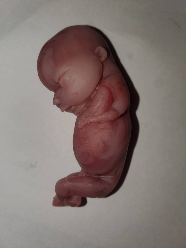 14 week gestation fetus memorial silicone baby
