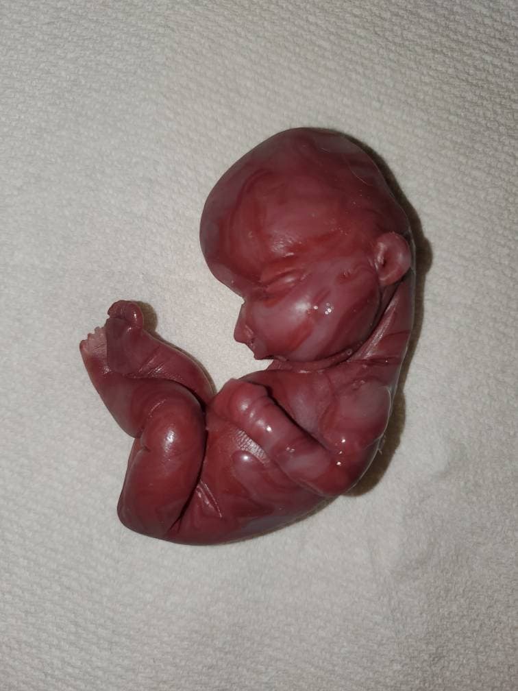 17 week gestational silicone baby fetus memorial baby red Caucasian mixed color