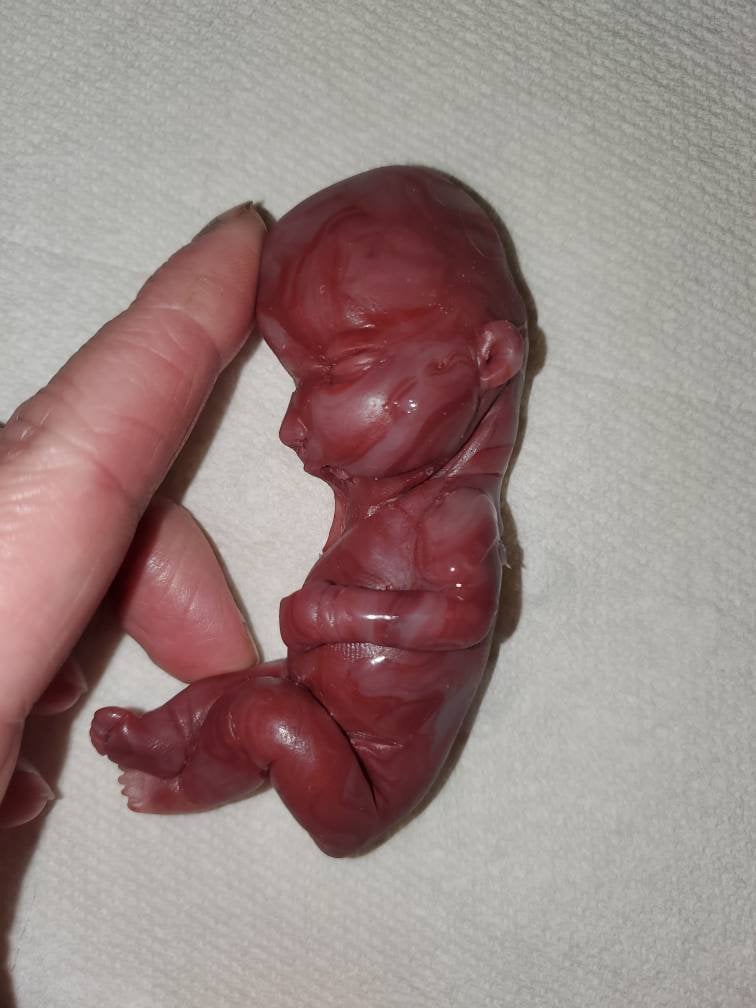 17 week gestational silicone baby fetus memorial baby red Caucasian mixed color