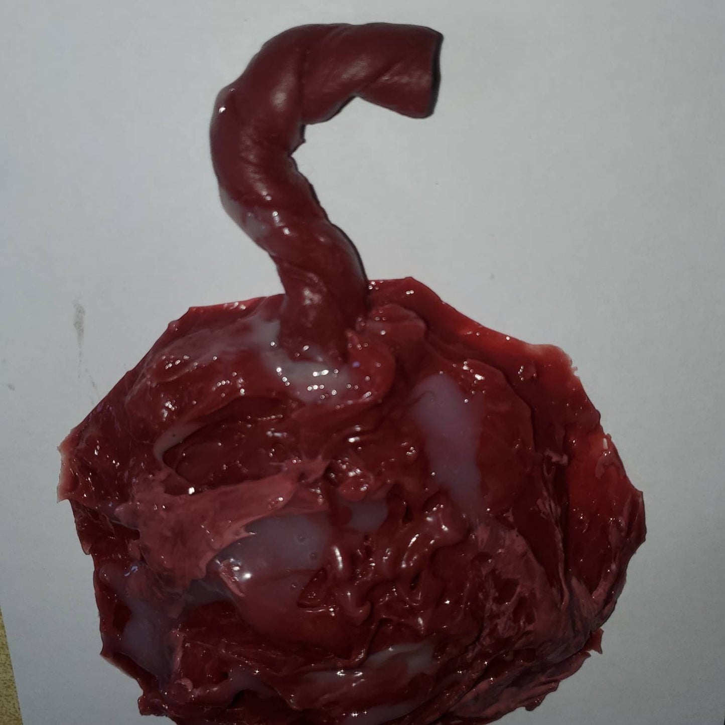 Silicone placenta and umbilical cord for silicone baby