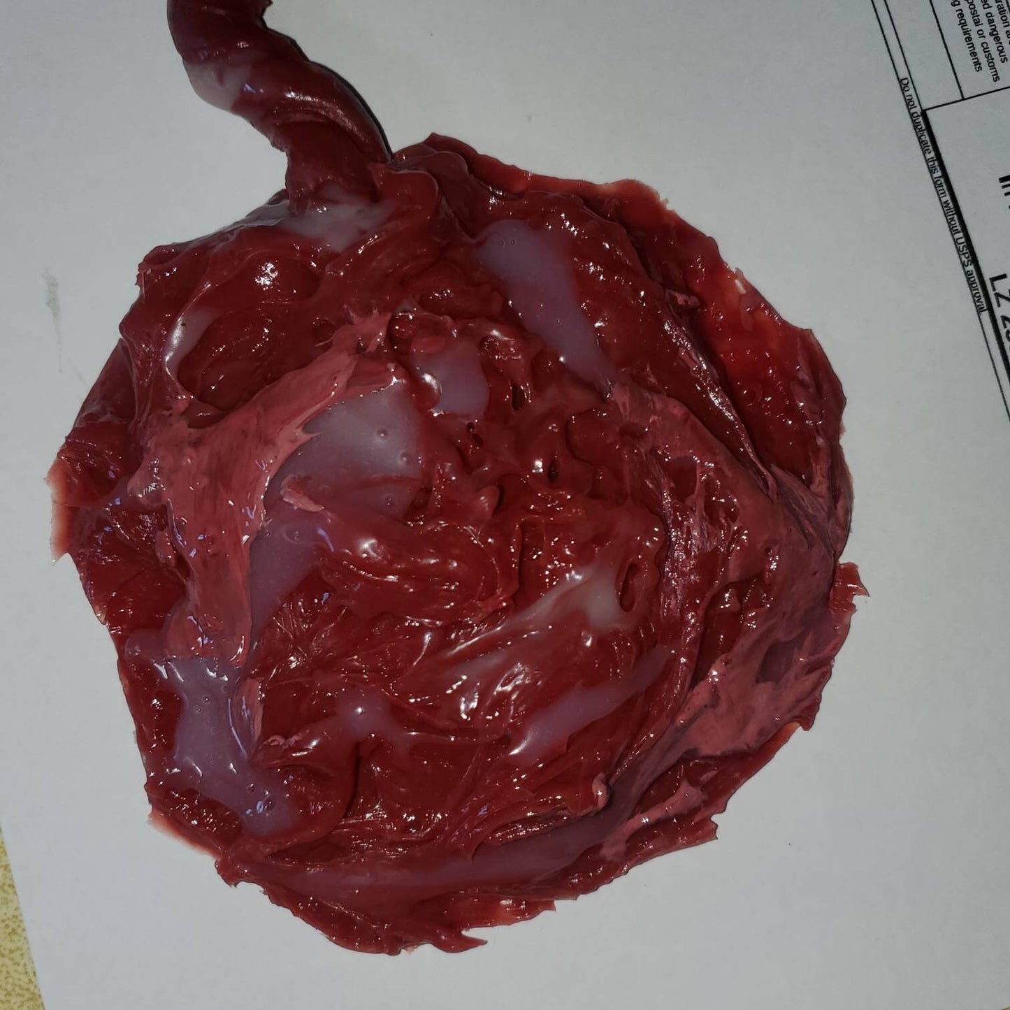 Silicone placenta and umbilical cord for silicone baby