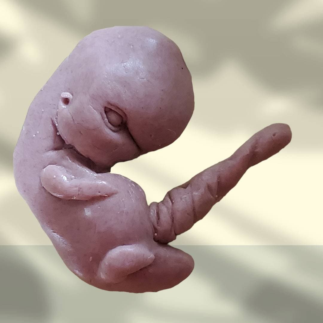 13 week sized gestation silicone fetus memorial baby with umbilical cord gift