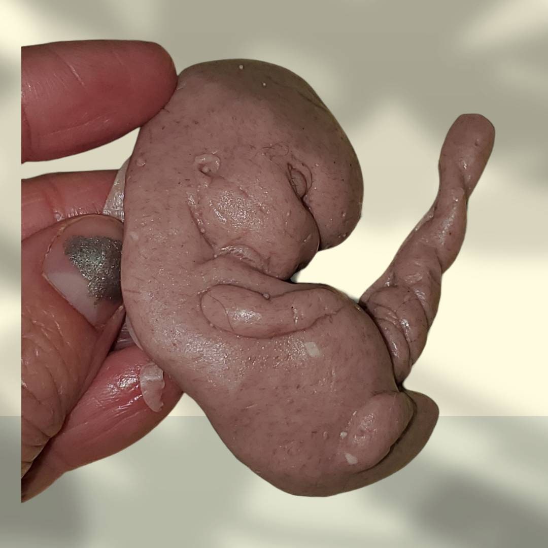 13 week sized gestation silicone fetus memorial baby with umbilical cord gift