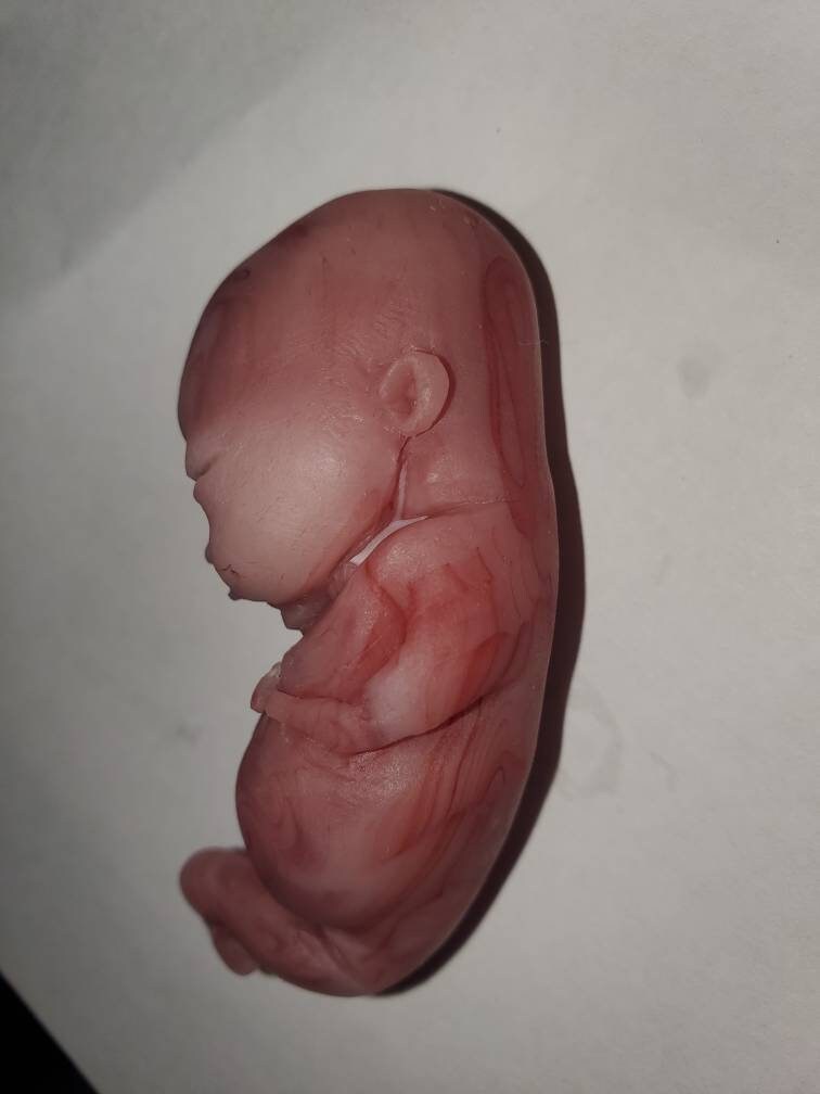 14 week gestation fetus memorial silicone baby