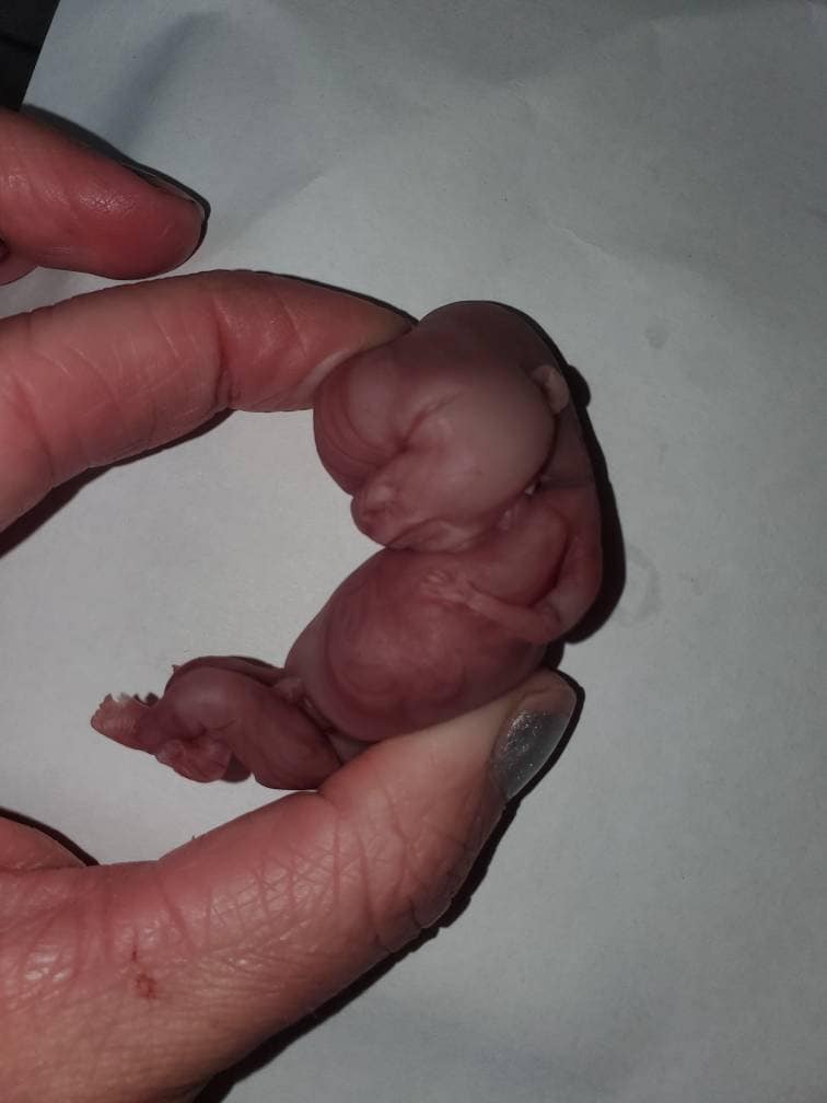 14 week gestation fetus memorial silicone baby