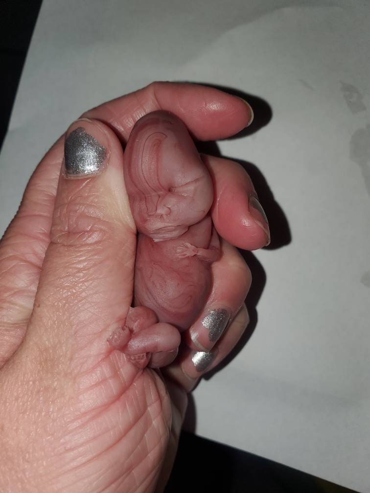 14 week gestation fetus memorial silicone baby