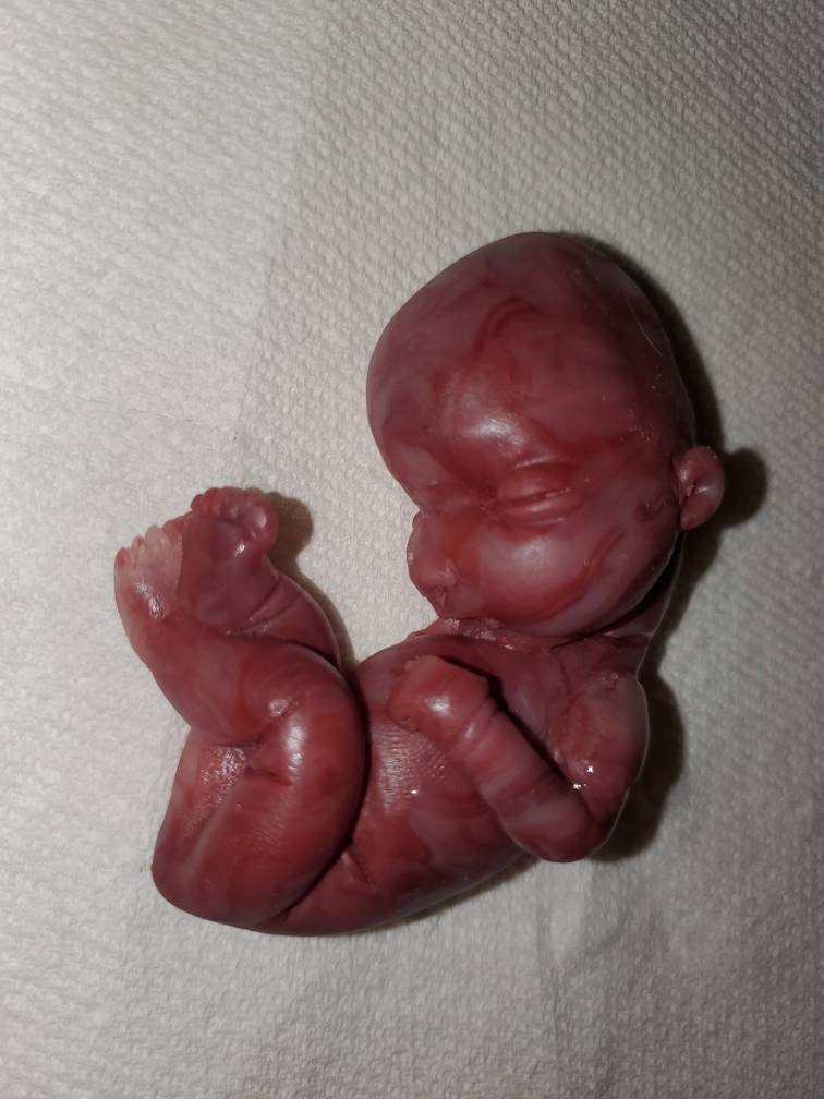 17 week gestational silicone baby fetus memorial baby red Caucasian mixed color