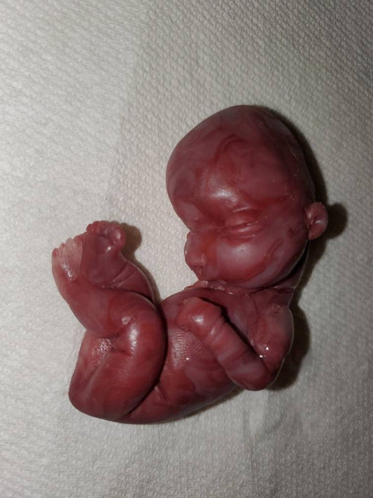 17 week gestational silicone baby fetus memorial baby red Caucasian mixed color