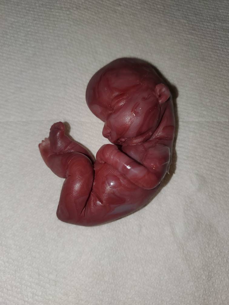 17 week gestational silicone baby fetus memorial baby red Caucasian mixed color