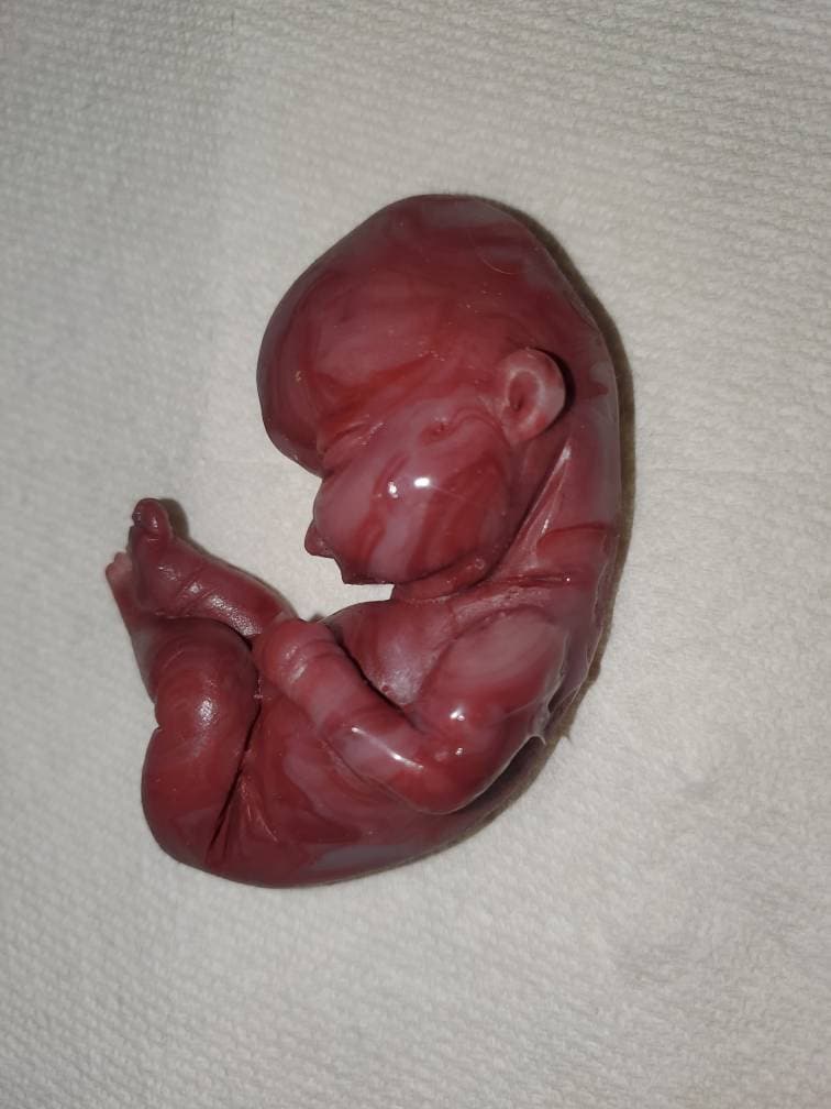 17 week gestational silicone baby fetus memorial baby red Caucasian mixed color