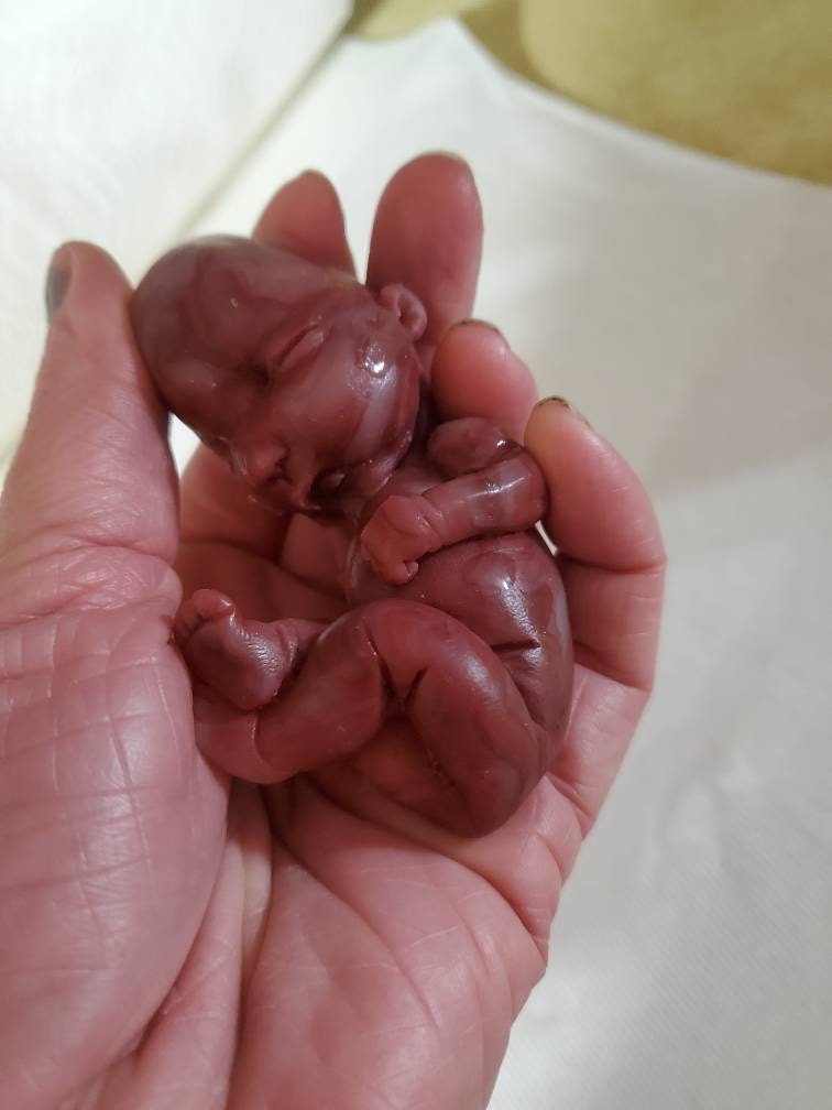 17 week gestational silicone baby fetus memorial baby red Caucasian mixed color