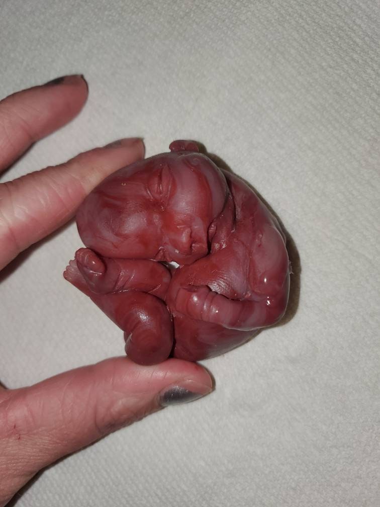 17 week gestational silicone baby fetus memorial baby