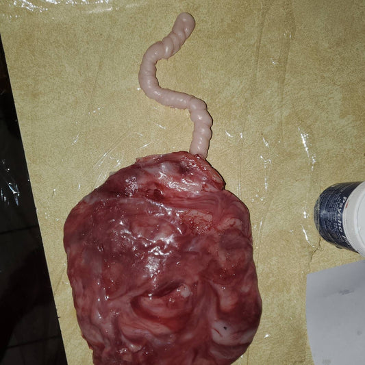 Silicone placenta and umbilical cord for silicone baby