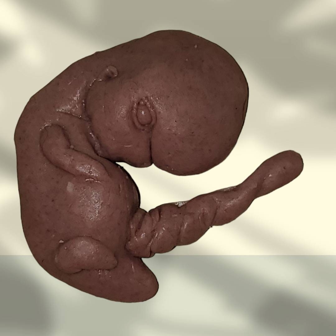 13 week sized gestation silicone fetus memorial baby with umbilical cord