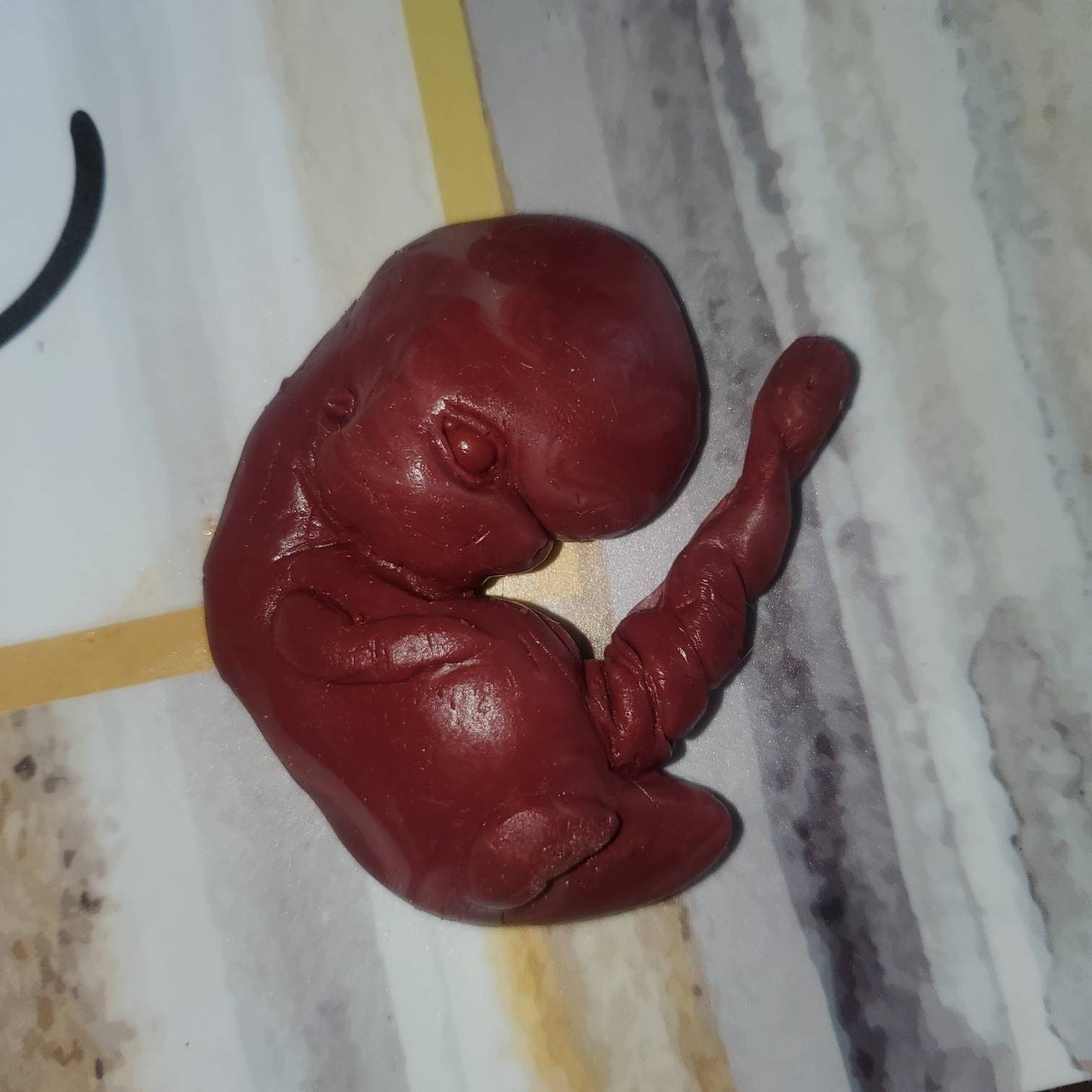 13 week sized gestation silicone fetus memorial baby with umbilical cord