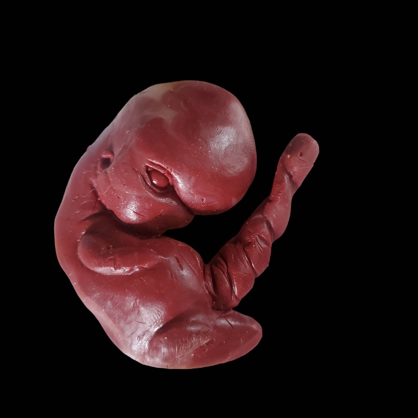 13 week sized gestation silicone fetus memorial baby with umbilical cord