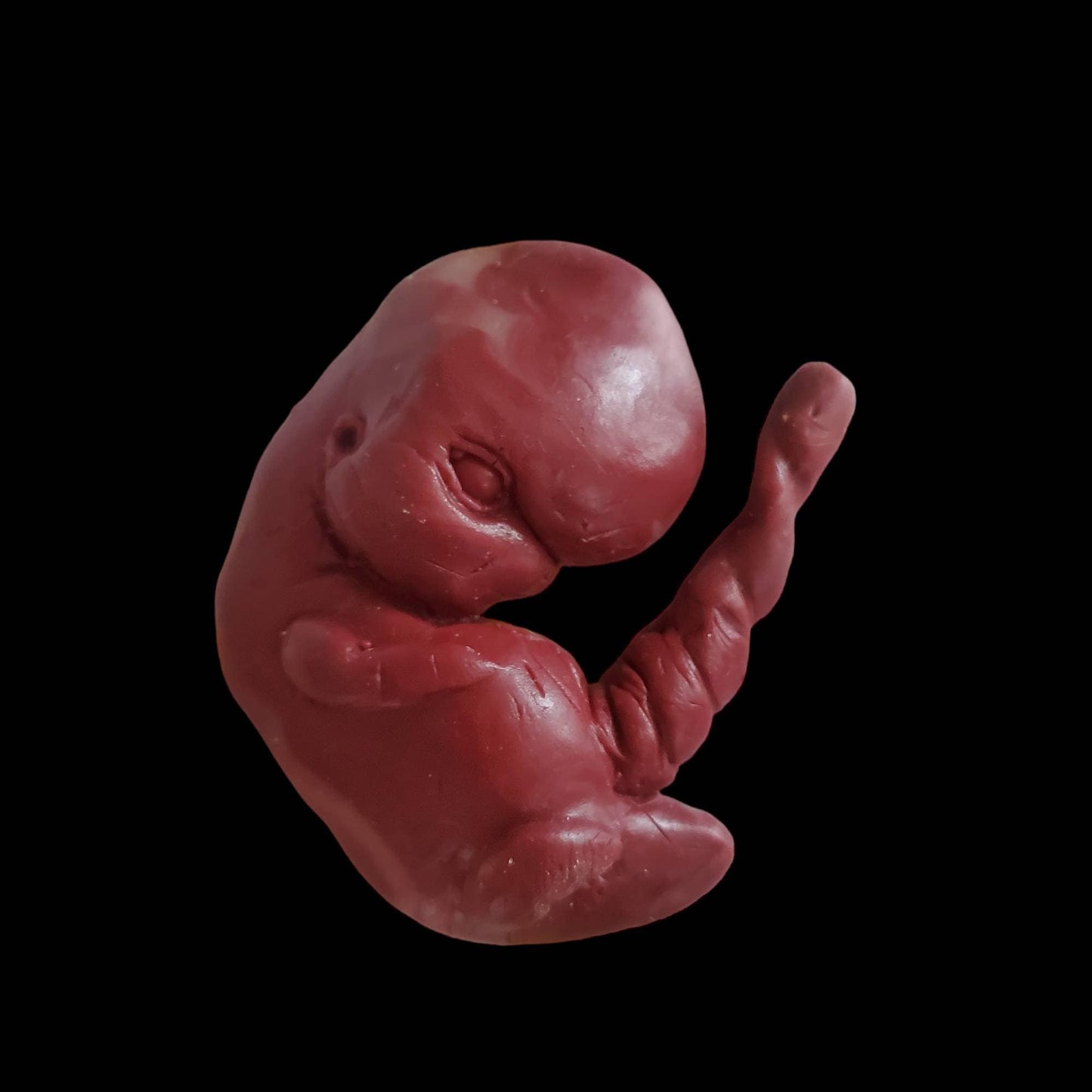 13 week sized gestation silicone fetus memorial baby with umbilical cord