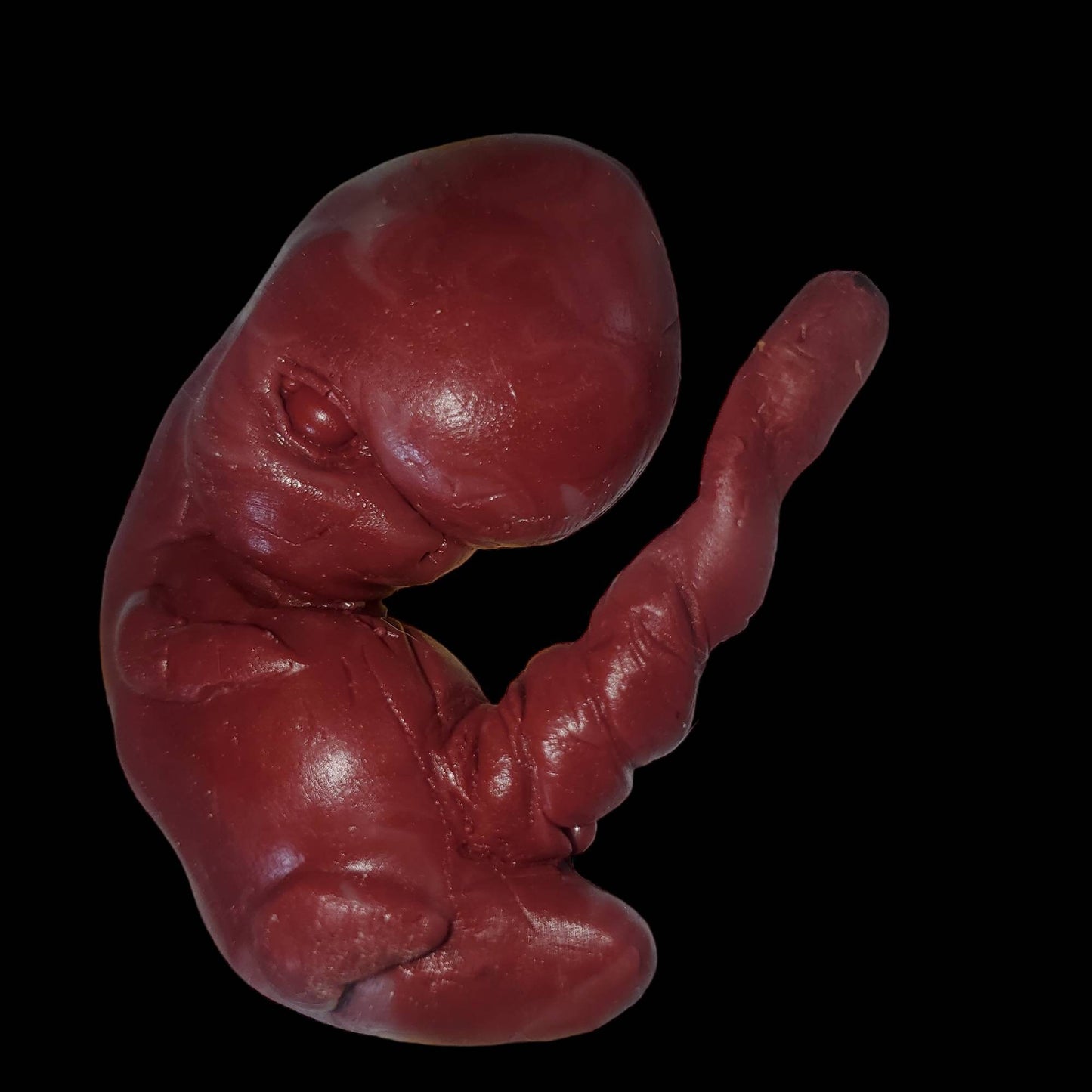 13 week sized gestation silicone fetus memorial baby with umbilical cord