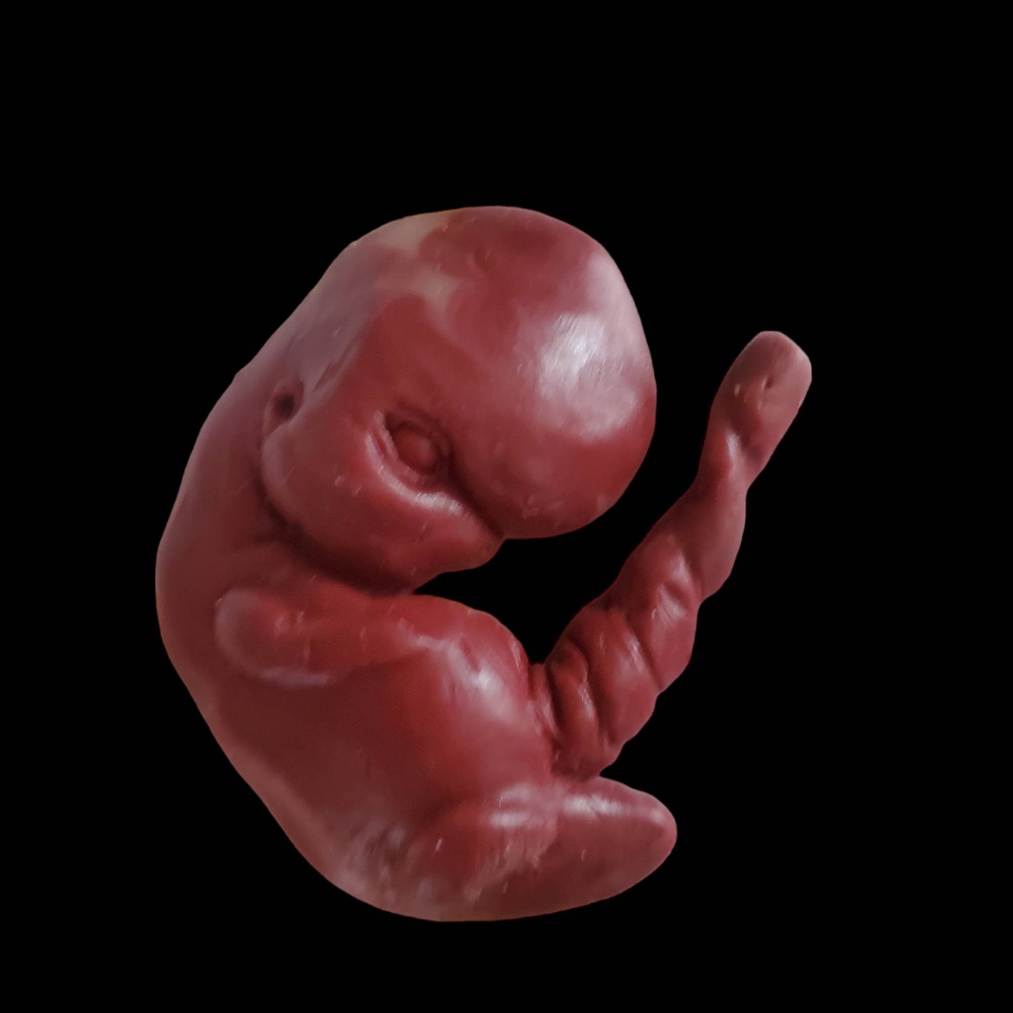 13 week sized gestation silicone fetus memorial baby with umbilical cord gift