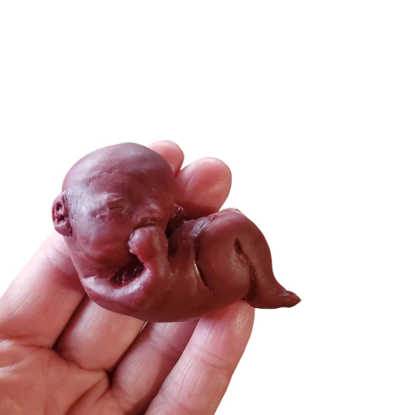 13 week gestational fetus silicone baby