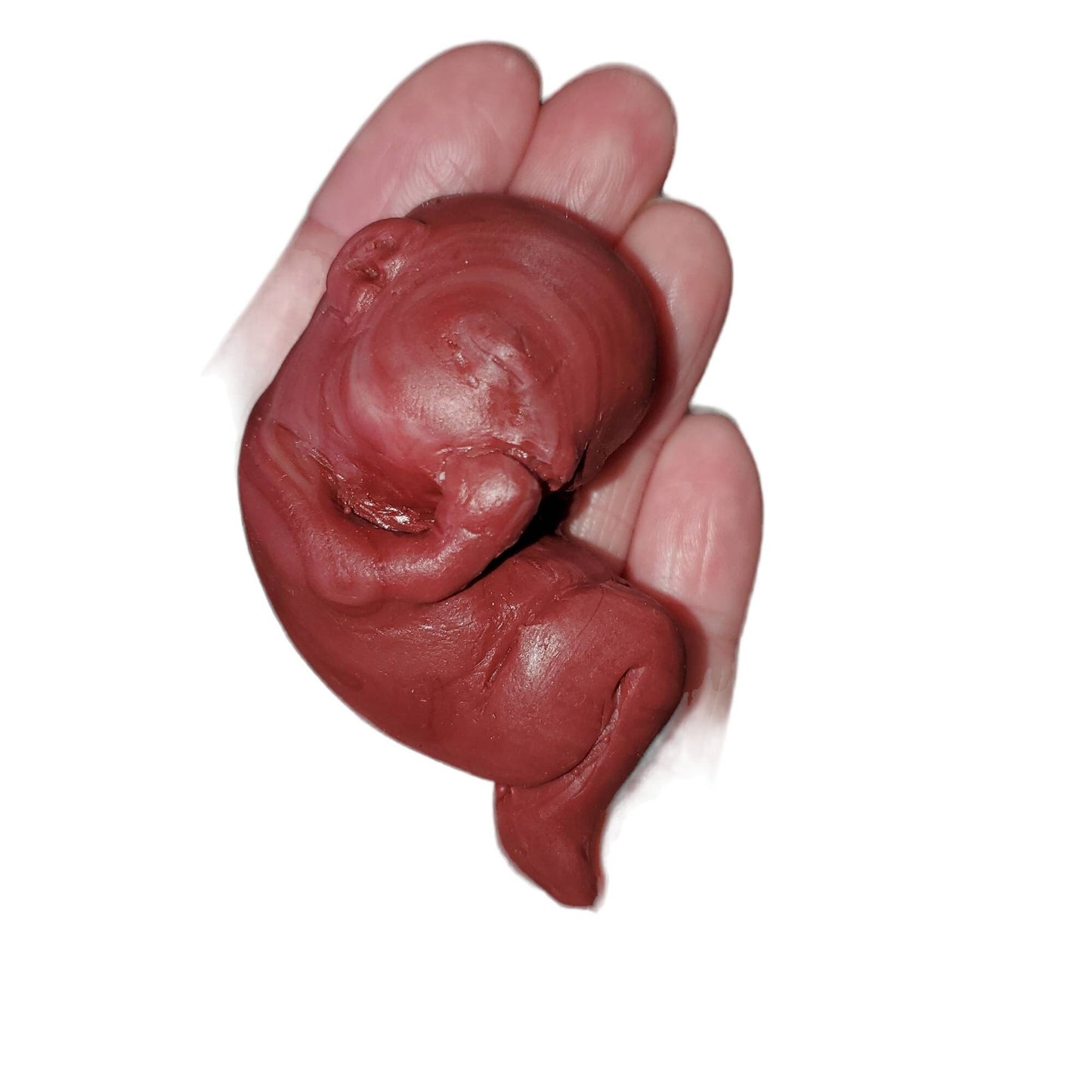 13 week gestational fetus silicone baby