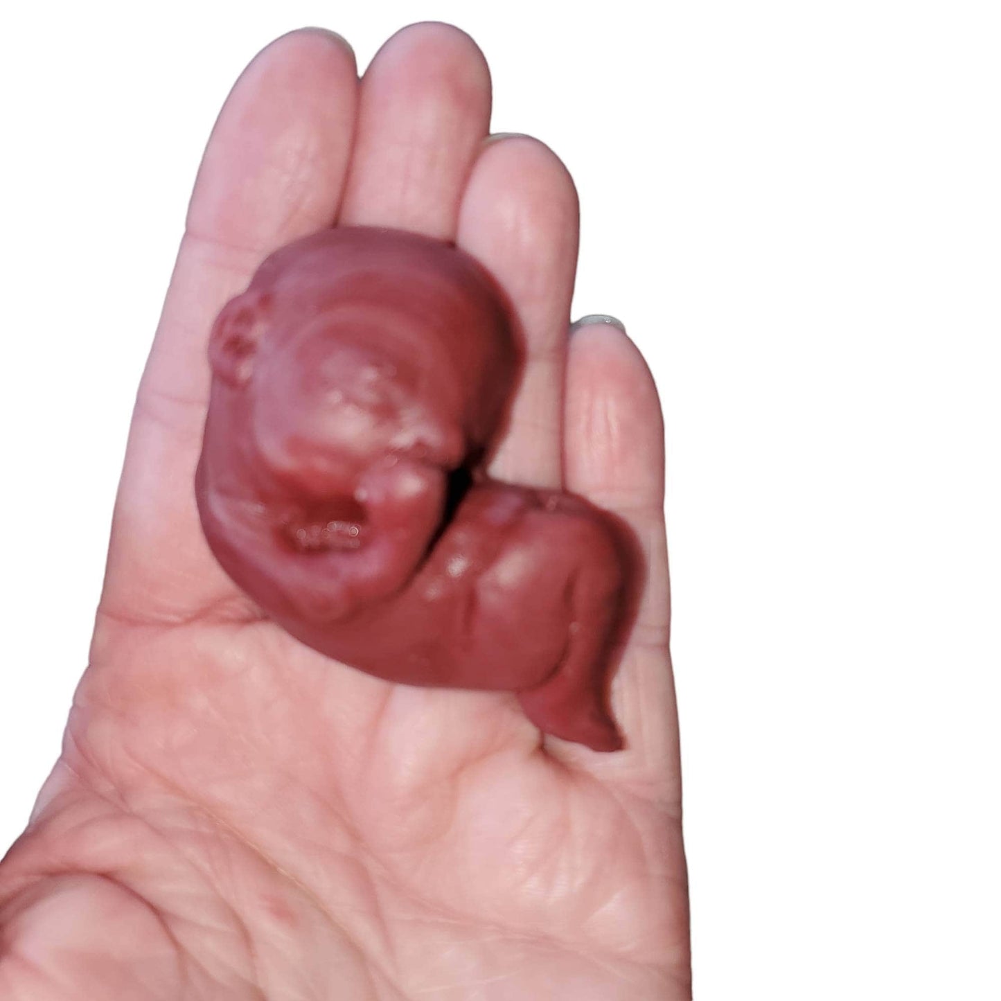 13 week gestational fetus silicone baby