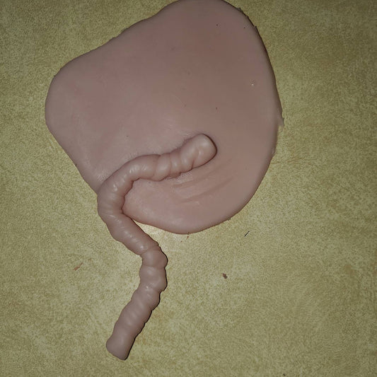 Silicone baby belly plate for newborn size baby unpainted reborn with umbilical cord attached